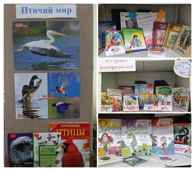Книжные выставки сентябрь